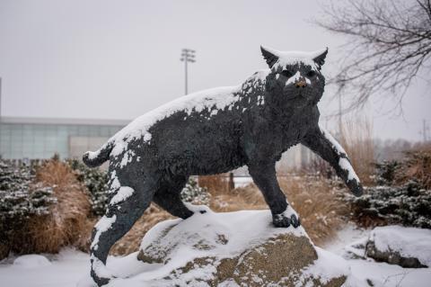 wildcat statue