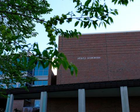 Outside of MUB with tree 